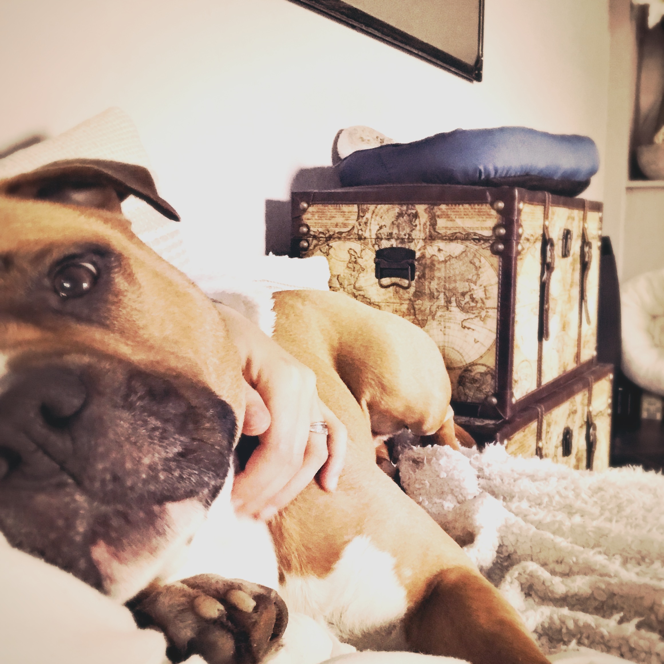 HipstamaticPhoto-665931677.468880